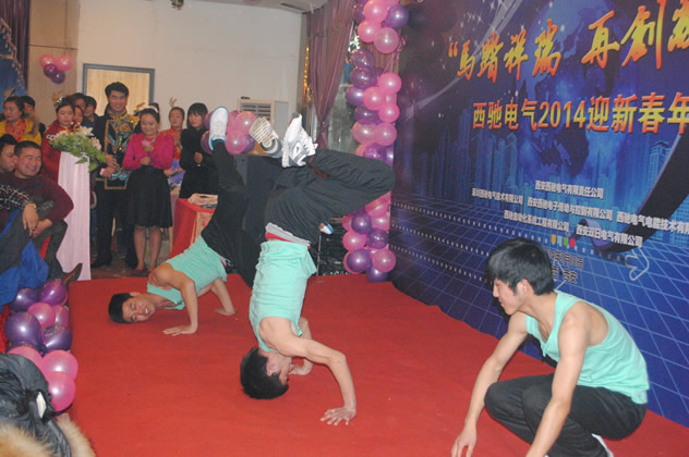 西馳電氣年會圓滿成功(圖10) 西馳電氣年會圓滿成功(圖10)